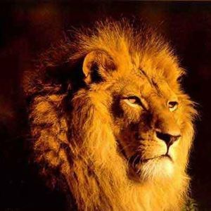 Meet your Posher, Ashure